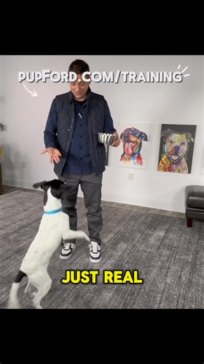 In just 30 days you and your dog can have a totally different relationship - whether you have a new puppy, or a dog that’s been with you for years! I made a completely free (I swear!) online course that will guide you through 30 days’ worth of simple, quick lessons designed to streamline your communication with your dog. It just takes a few minutes a day to change everything ❤️ Give it a shot and let me know what you think! Sign up and get free access for life at pupford.com/training | Zak Georg