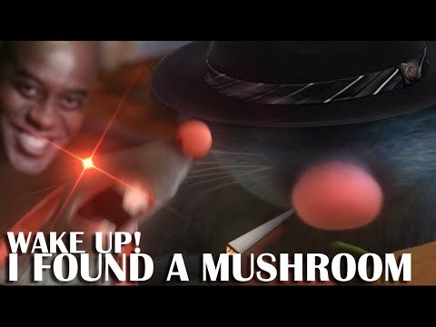 WE GOTTA COOK IT