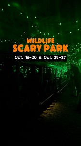 5.2K views · 35 reactions | We had a blast at Scary Park last...