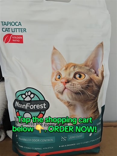Upgrade Your Cat's Litter Routine with Moonforest Tapioca