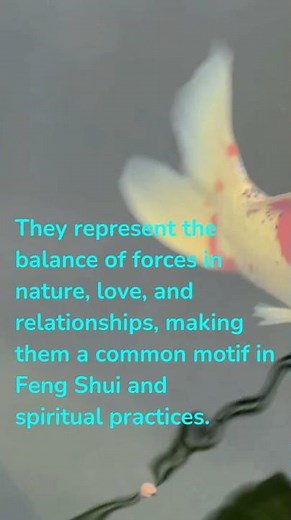 Koi Fish and the Yin-Yang Balance in Chinese Philosophy