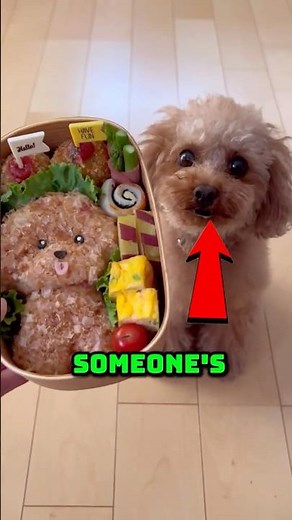 You Won’t Believe This Japanese Lunch Art 🍱✨ | Kyaraben – Character Bento in Japan