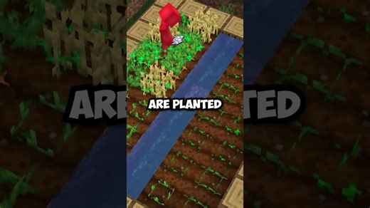 Fix your Minecraft crop farm