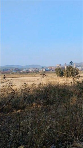 Dil To Bachha Hai Jii #shorts #viral #youtubeshorts #trending #bollywood