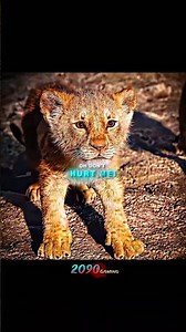 💖Poor Mufasa was washed away by the flood.💖#edit #shorts#movie