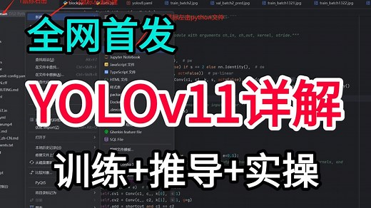 【YOLOv11】手把手带你一小时掌握！从0开始搭建部署YOLOv11，训练＋推导＋实操，草履虫都能听懂！-目标检测/YOLO学习/源码