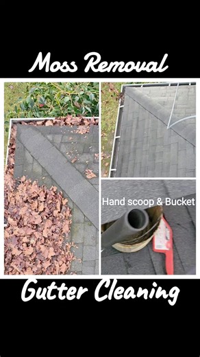 🚛 NW Buffalo Wash LLC — Fleet & Heavy Equipment Washing Service Area: Oregon ➜ Washington 📞 Call or Text: 971-259-9724 360-721-4609 📧 Email: nwbuffalowashllc@gmail.com 🌐 Website: www.nwbuffalowashllc.org