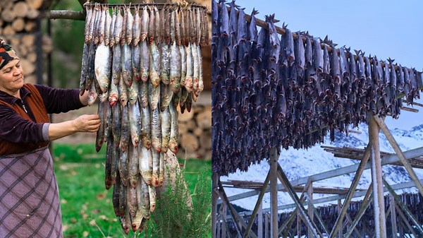 Amazing Methods for Fish Farming and Feeding