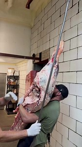 130K views · 1.8K reactions | Breaking down Beef 數 #reels #reelsfb #butcher #butchers #thebeardedbutchers #beef #cow #meat #knives #toolsofthetrade #meatcutting #youtube #diy #educational | The Bearded Butchers | Facebook