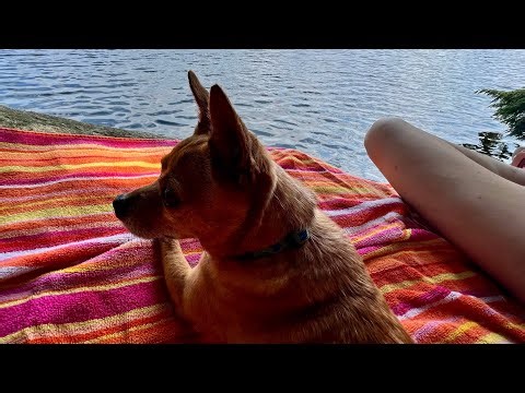 All a Dream Vermont Nude Beach - Ledges - Miss Moonshine & Mr B adventures in sunny - rainy Vermont
