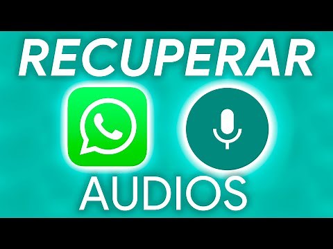 How to RECOVER WHATSAPP AUDIOS