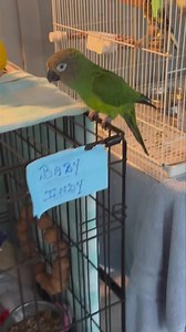 7.2K views · 187 reactions | ‼️ TODAY ‼️  Check out our "Black...