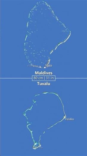 Who is the King of the Ocean?👑 Maldives 🇲🇻 vs Tuvalu 🇹🇻! 🌊#geography #mapbattle #maldives #tuvalu