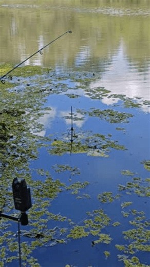 clip-4140398791-fishing-rod-setup-by-calm-lake-float