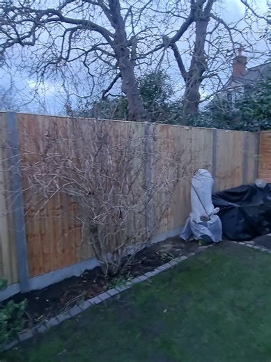 Out with the old, in with the new. New fence using heavy-duty closeboard panels with concrete posts & concrete gravel boards. Nice and strong now. #fencing #landscaping #garden #construction #fyp