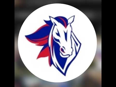 Icons vs. Shockwave 15 Grey (2026.01.03)