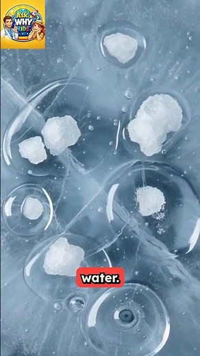 Why Does Salt Melt Ice? The Science Explained