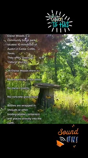 The sounds of a green burial park.... | The Modern Mortician