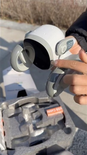 🥁let’s unbox Loona for your CHRISTMAS PRESENT! 😜#christmas #loonapetbot #toys #christmaspresents