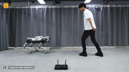 17K views · 151 reactions | DEEP Robotics' auto-dodge perception. Video Credit: DEEP Robotics #engineering #technology #robots #robotics -------------------------------- Stay ahead of the curve! Follow more cutting edge robotics content, including research, reports and articles on Wevolver: https://www.wevolver.com/category/robotics #engineering #technology #robots #robotics | Wevolver.com | Facebook