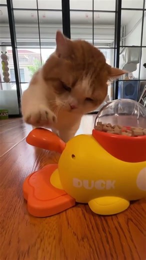 Finding yours in the link below #gift #pet #dog #dogloss #dogshorts #doglife #dogvideos #doglove