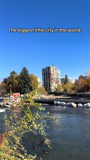 My sister always tells me, “you can be happy anywhere”. Love Reno and all the peace it has brought me. #775 #reno