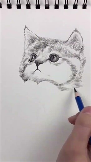 How to draw a cat? Step by step pencil sketching ❤✨#sketching #catsketch #sweet 💖