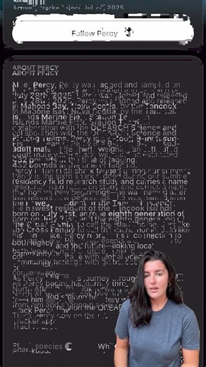 103K views · 1.2K reactions | Shark Tracker Update: Which Sharks Pinged This Week? 麗 Which white sharks have been on the move? Dive into this week’s Shark Tracker Update from OCEARCH to see which of your favorite sharks have pinged in! From the Atlantic coast to The Gulf, our real-time Global Shark Tracker shows where these apex predators are traveling. Keep following for more weekly shark pings, conservation updates, and more! | OCEARCH | Facebook