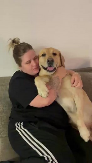 Cuddly Moments with Your Dog: The Joy of Pet Love