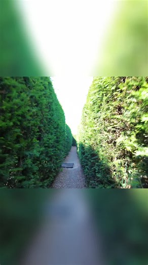 Maze Runner: You Won't Believe Where I Ended Up! Navigate the thrilling first-person perspective through a dense hedge maze! Experience the best highlights as our view swiftly moves down a narrow path. Get ready for an immersive journey! #MazeAdventure #FirstPersonView #HedgeMaze #MazeGame #GamingHighlights #PathFinding #ImmersiveGaming #AdventureGame #GamePlay #GamingCommunity