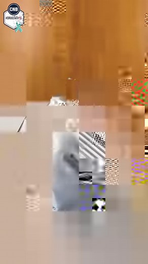 384K views · 138 reactions | No prizes guessing what we’re unboxing  in this video  Did you know CNB has introduced saliva drug testing to increase our testing capabilities? Officers can now choose to deploy these kits to supplement other factors before deciding to arrest a person. #DrugFreeSG #CNBExplains | CNB Drug Free SG | Facebook