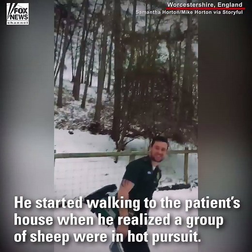 489K views · 2.5K reactions | TRY TO 'SHEEP' UP: A paramedic responding to a house call in England made some fluffy friends while trekking through the snow. | Fox News | Facebook