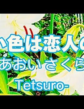 昭和フォークソング名曲❗️🌇【白い色は恋人の色♪】二重唱〈歌〉あおいさくら・Tetsuro-〈作詞〉北山修〈作曲〉加藤和彦「花びらの白い色は~」JAPANESE POPULAR SONG童謡美学®︎