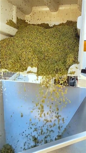 How Sweet Grapes Turn Into Bitter Wine ?