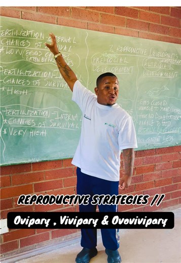 Understanding Ovipary, Vivipary, and Ovovivipary in Life Sciences