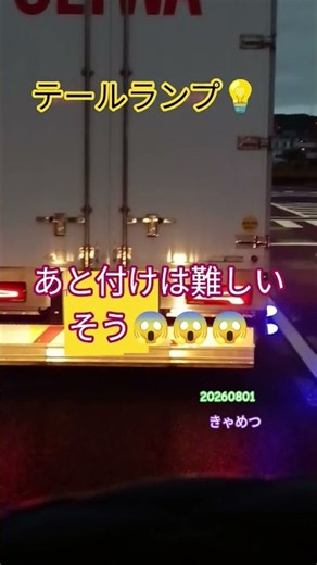 テールランプ💡こんなパターンもあるんだ⚡カッコいい👍あと付けは相性が難しいとか🥵電球をLED化する？ トラックちゃん #テールランプ