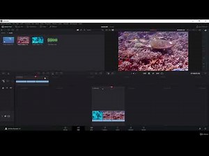 Color Grading and Video Editing with Davinci Resolve 17
