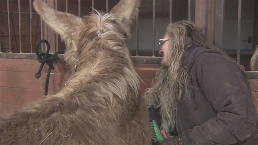 Remarkable Women: Donna saving lives at 'Hope 4 Horses'