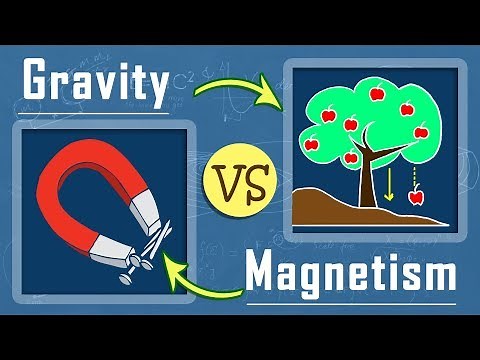 What is the Difference Between Gravity and Magnetism | Electro Magnetism | Physics