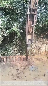 Excavators are tamping down wooden piles to protect the riverbank; it's so stable!