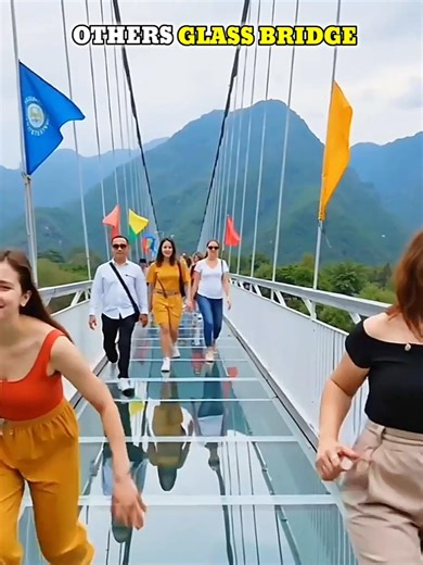 Normal bridge vs glass bridge