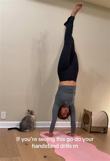 Handstand drills for days. #fyp #workout #gym #handstand #strengthtraining