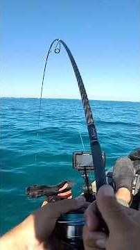 Two Miles Out On A Kayak For Keeper Grouper