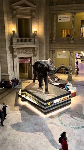 Smithsonian National Museum of Natural History