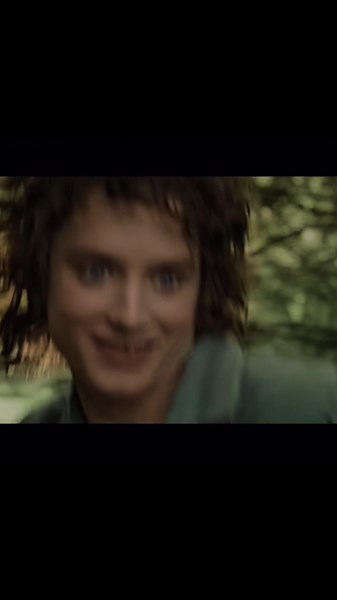 A journey like this, leaves marks #lordoftherings #lotr #frodo #pippin #merry #samwisegamgee #legolas #aragorn #foryou #fyp #foryoupage