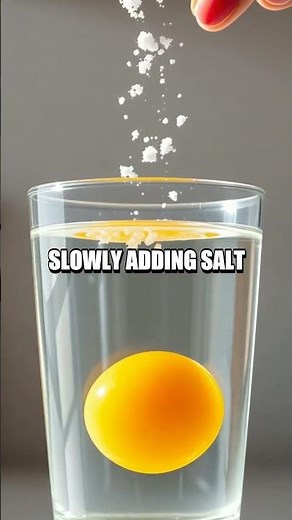 Buoyancy Lab: How an Egg Floats in Salt Water