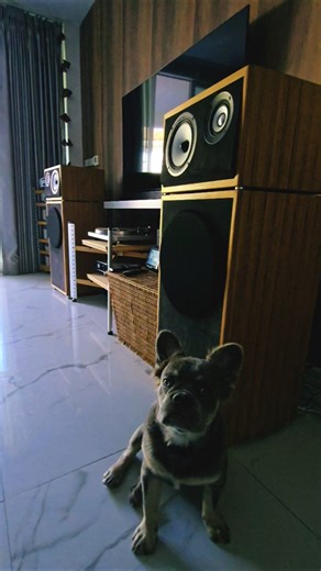 early in the morning 🔊 #highend #audiophile #audio #music #stereo #hifi #loudspeakers
