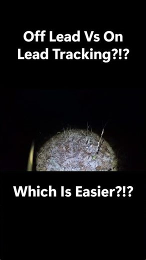 On-Lead vs Off-Lead Tracking… Which One’s Really Easier?
