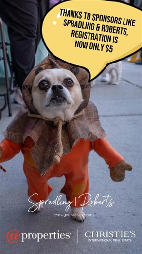 🎃🐶 The Northalsted Halloween Pup Crawl is this Saturday, October 18, 10am-2pm. It’s never too late to register! Thanks to our incredible sponsors like the Spradling | Roberts team with @Properties, registration is only $5. The price of registration includes a tote bag, a raffle entry, tons of treats, and more! Known for integrity, service, and local expertise. The Spradling & Roberts team can help you successfully navigate your real estate journey with ease and confidence! Whether it’s a luxur