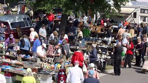 Michigan Antique & Collectible Festivals on Reels